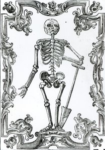Skeleton with a Shovel by German School